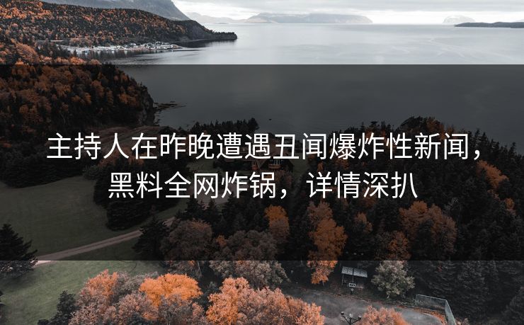 主持人在昨晚遭遇丑闻爆炸性新闻，黑料全网炸锅，详情深扒