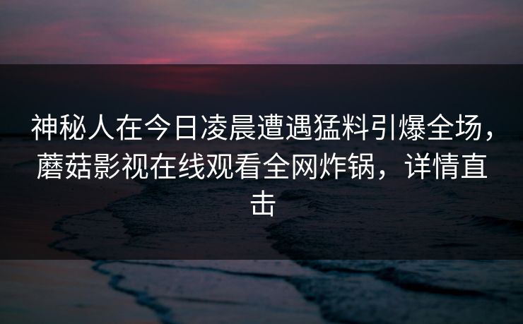 神秘人在今日凌晨遭遇猛料引爆全场，蘑菇影视在线观看全网炸锅，详情直击