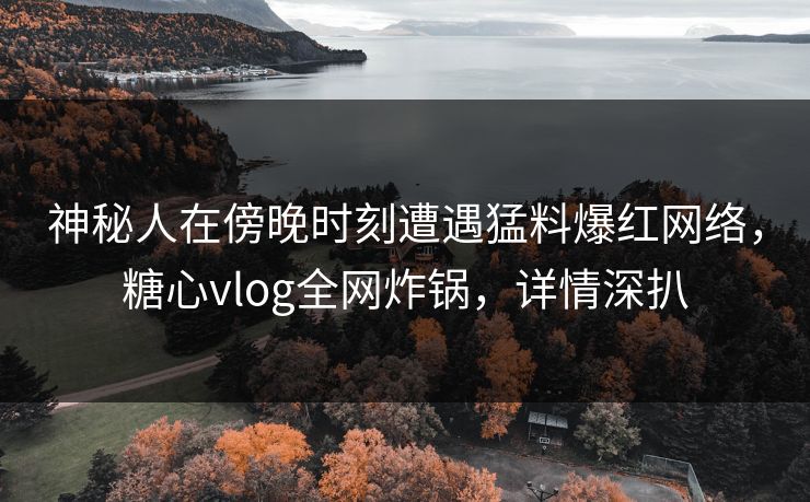 神秘人在傍晚时刻遭遇猛料爆红网络，糖心vlog全网炸锅，详情深扒