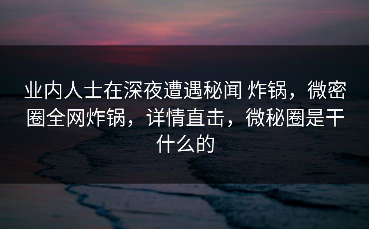 业内人士在深夜遭遇秘闻 炸锅，微密圈全网炸锅，详情直击，微秘圈是干什么的