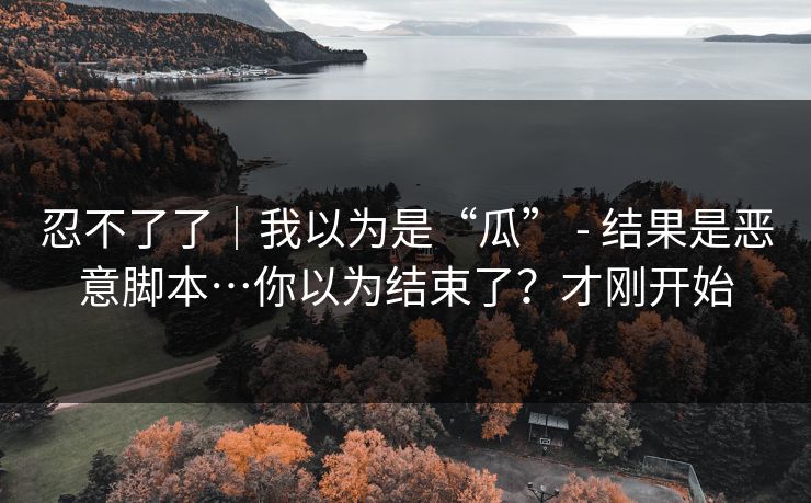 忍不了了｜我以为是“瓜” - 结果是恶意脚本…你以为结束了？才刚开始